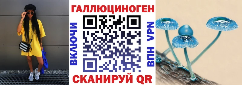 hydra ссылки Мамоново Галлюциногенные грибы Cubensis