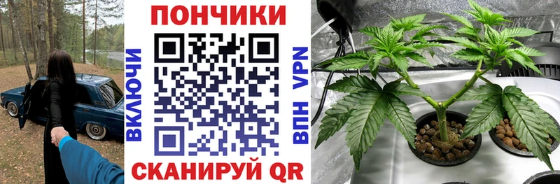 Каннабис Bruce Banner  Мамоново 